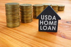 usda home loan